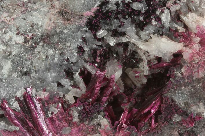 Vibrant, Magenta Erythrite Crystals - Morocco #93606